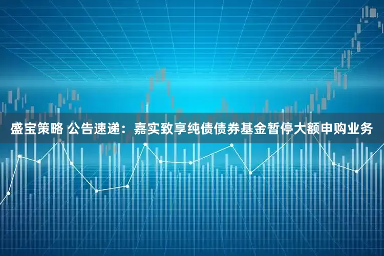 盛宝策略 公告速递：嘉实致享纯债债券基金暂停大额申购业务