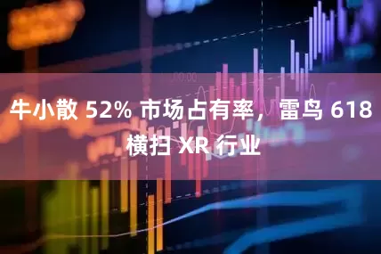 牛小散 52% 市场占有率，雷鸟 618 横扫 XR 行业