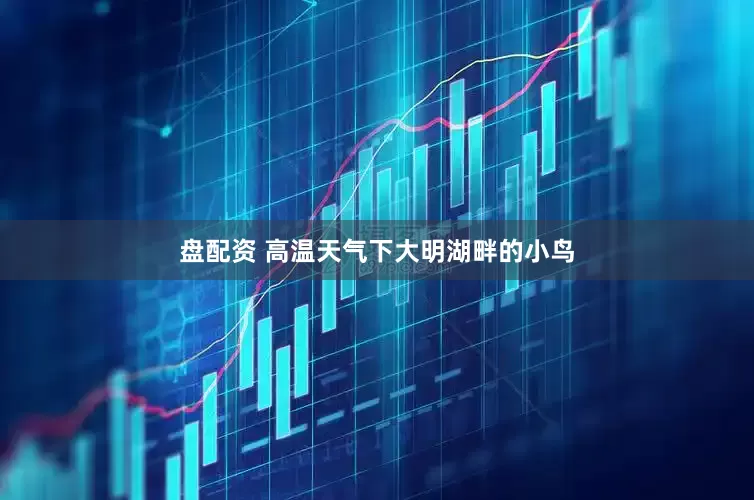 盘配资 高温天气下大明湖畔的小鸟
