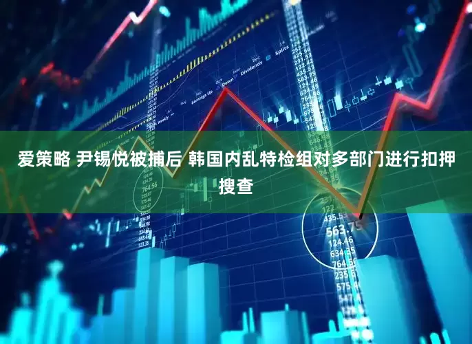 爱策略 尹锡悦被捕后 韩国内乱特检组对多部门进行扣押搜查