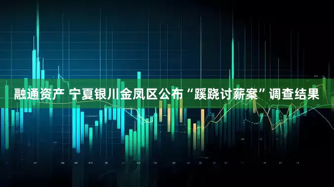 融通资产 宁夏银川金凤区公布“蹊跷讨薪案”调查结果