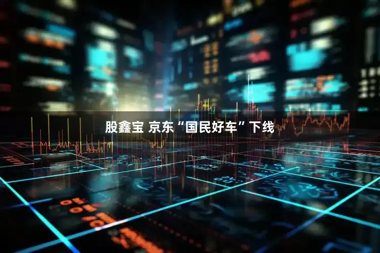 股鑫宝 京东“国民好车”下线