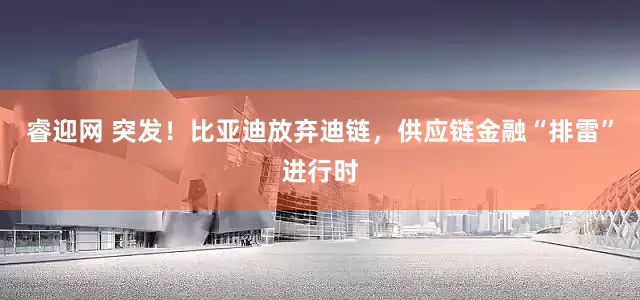 睿迎网 突发！比亚迪放弃迪链，供应链金融“排雷”进行时