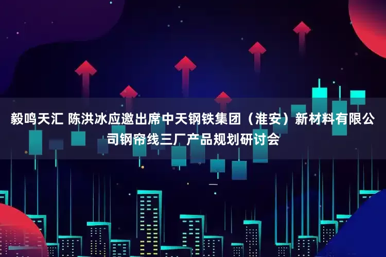 毅鸣天汇 陈洪冰应邀出席中天钢铁集团（淮安）新材料有限公司钢帘线三厂产品规划研讨会
